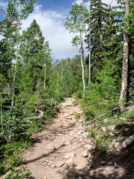 Potato Lake (Spud Lake) Trail Colorado Photo Print -