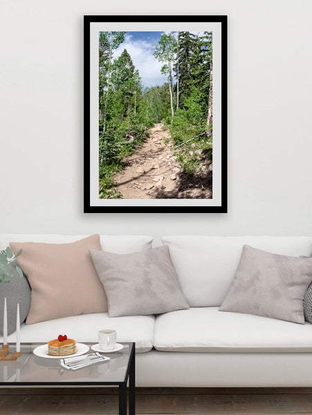 Potato Lake (Spud Lake) Trail Colorado Photo Print -