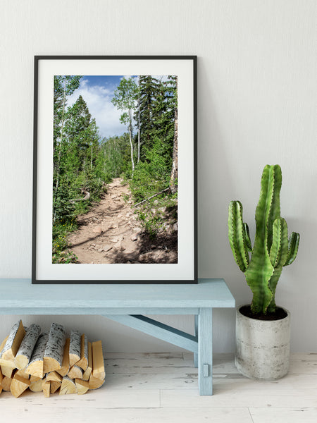 Potato Lake (Spud Lake) Trail Colorado Photo Print -