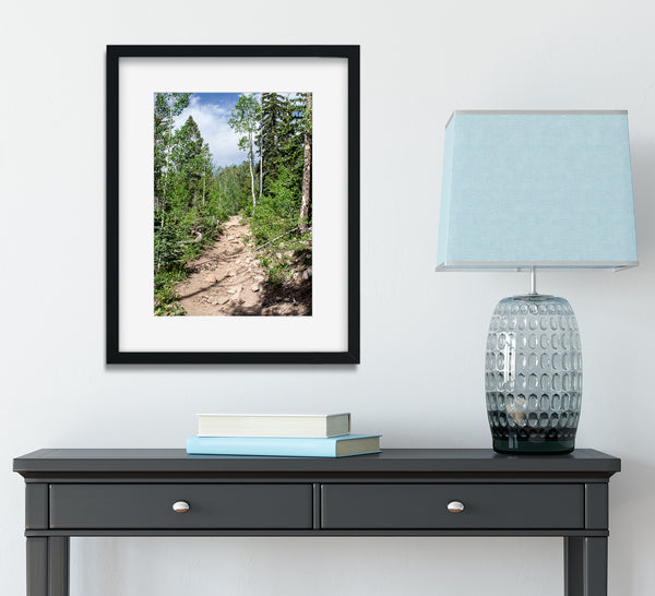 Potato Lake (Spud Lake) Trail Colorado Photo Print -