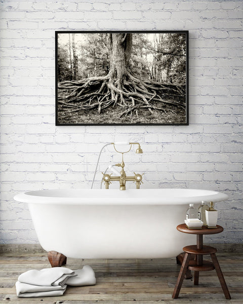 Roots of Life Black and White Modern Wall Art Print -