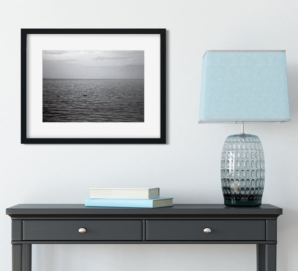 Salton Sea Birds Minimalist Black and White Print -