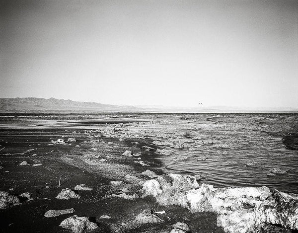 Salton Sea Beach Black and White Film - Photography