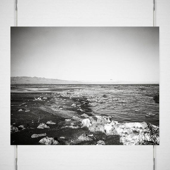 Salton Sea Beach Black and White Film - Photography