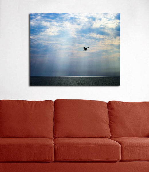 Seagull After the Storm - Photography