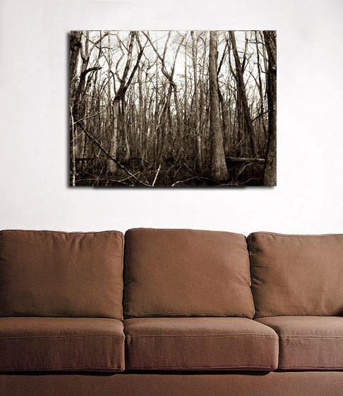 Swamp Trees, Louisiana Forest Fine Art Print Lost Kat Photography