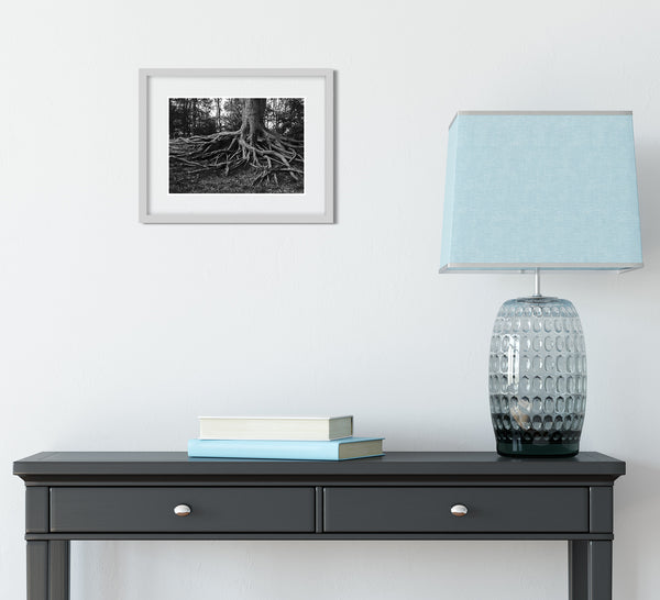 Sprawling Roots Black and White Photo Print - Photography
