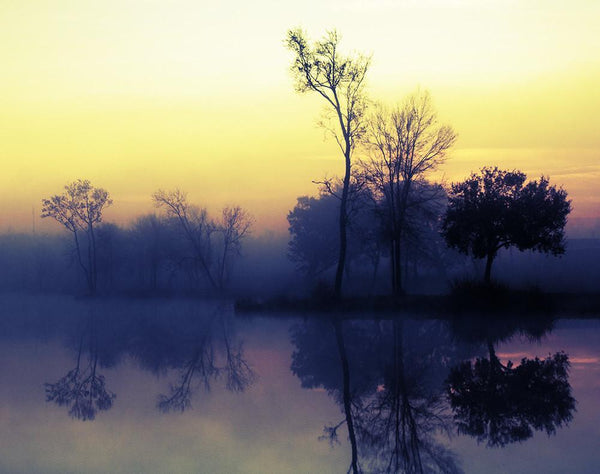 Trees at Sunrise Lake Reflection Louisiana Nature Wall Art