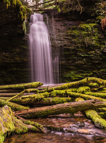 Mossy Waterfall Scene Pacific Northwest Nature Photography