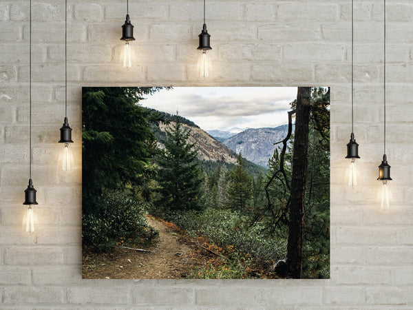 Scenic Trail in the Cascade Mountains Photo Print -