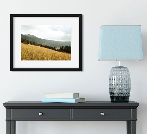 Yellowstone Meadow Photo Print Landscape Photography