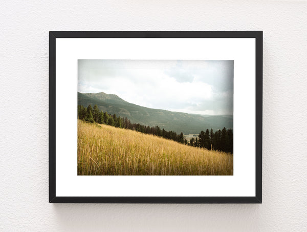 Yellowstone Meadow Photo Print Landscape Photography