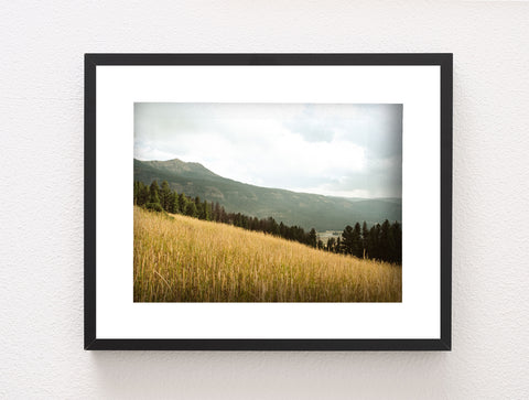 Yellowstone Meadow Photo Print Landscape Photography