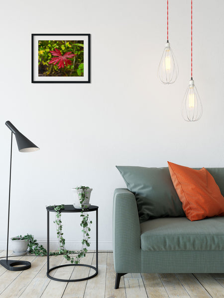 Red Autumn in Yellowstone Photo Print Nature Photography