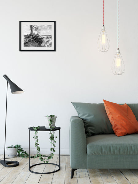 Yellowstone Tree Roots Photo Print Black and White