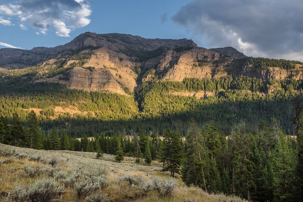 Mountain at Dusk Photo Print Yellowstone Landscape