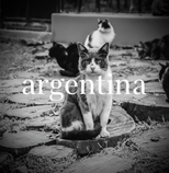 Argentina Collection Thumbnail
