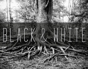 Unique Black and White Film Photography Prints