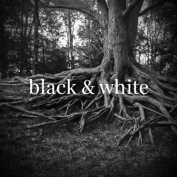 Black & White Collection Thumbnail