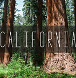California Photography Prints