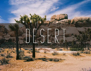 Southwest Photo Prints, Desert Photography, Arizona, Utah, Salton Sea and More