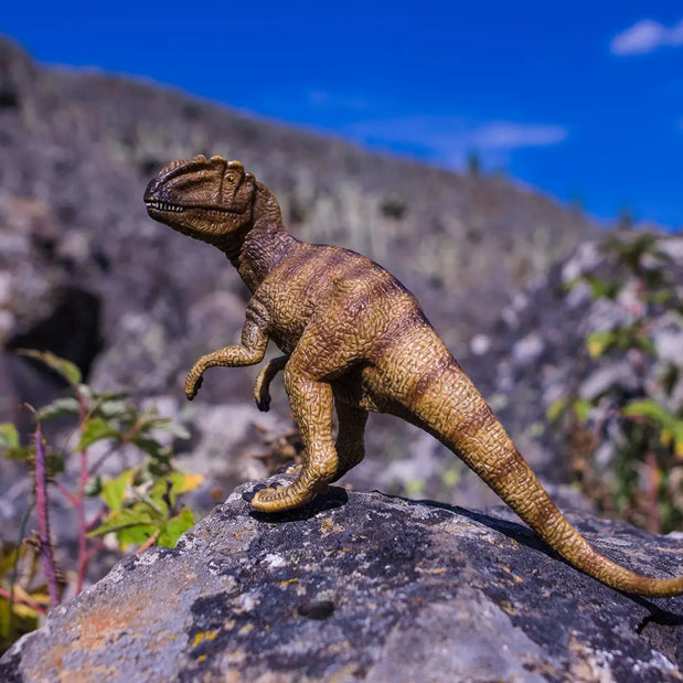Dinosaur Wall Art and Decor