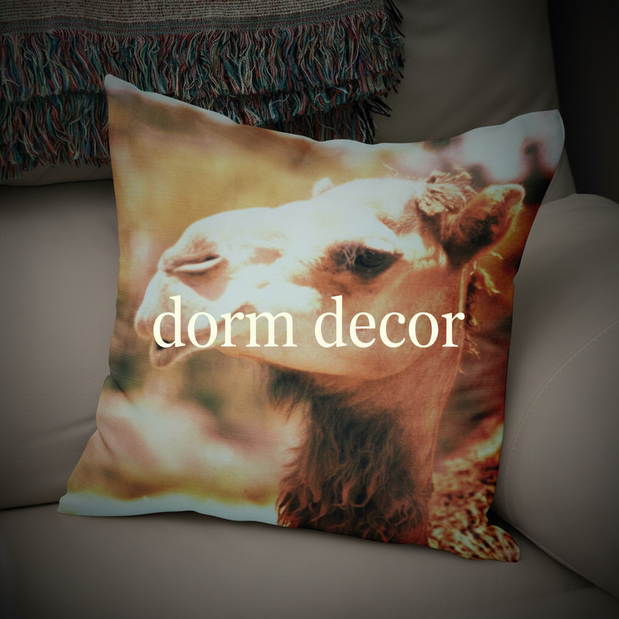 Dorm Decor Collection Thumbnail