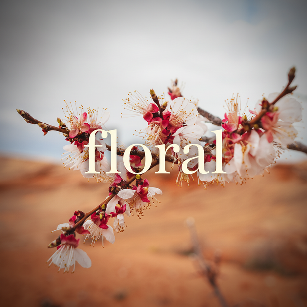 Floral Collection Thumbnail