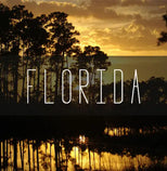 Florida Photography Prints