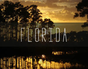 Florida Photography Prints