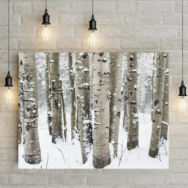 Framed Photos and Canvas Prints