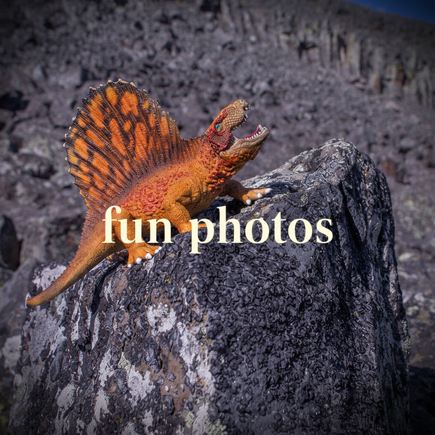 Fun Photos Collection Thumbnail