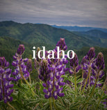 Idaho Collection Thumbnail