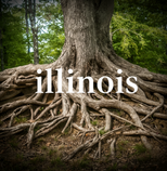 Illinois Collection Thumbnail