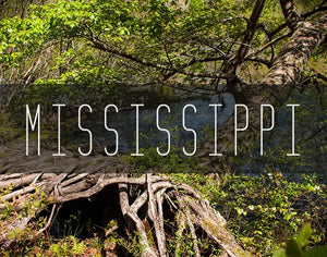 Mississippi Photography Prints