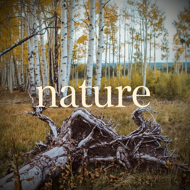 Nature Collection Thumbnail