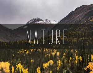 Nature Wall Art Prints - Landscape Photography, Forest Decor, Mountains andMacro