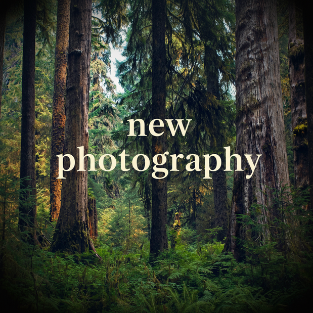 New Photography Collection Thumbnail