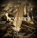 New York Collection Thumbnail