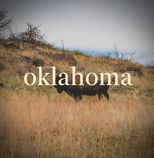 Oklahoma Collection Thumbnail