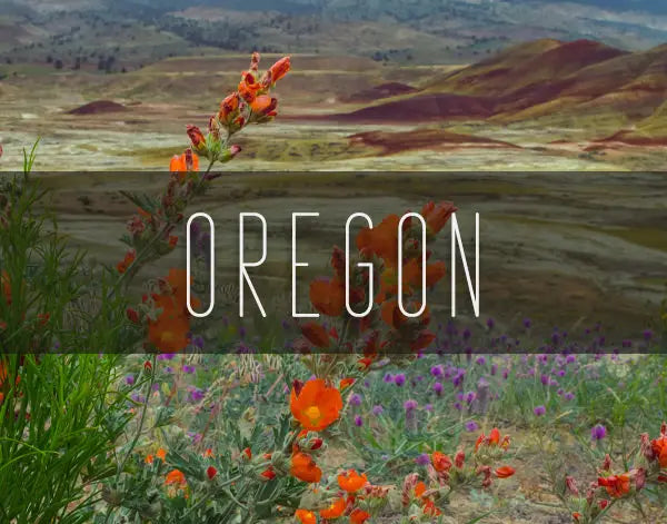 Oregon Photography Prints