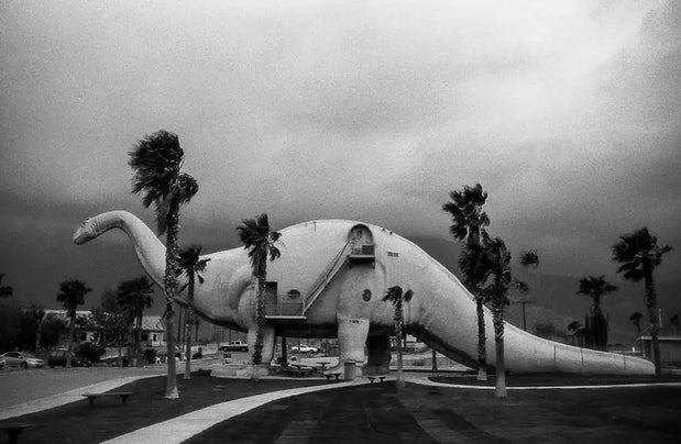 Roadside Attractions - Photo Prints and Art