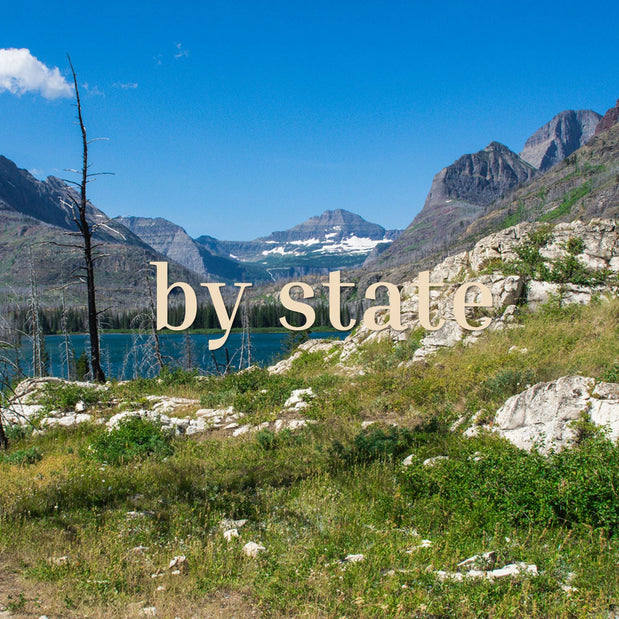 United States Photography Prints by State