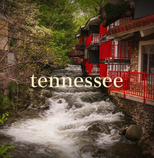 Tennessee Collection Thumbnail