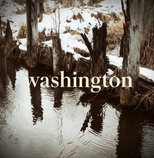 Washington Collection Thumbnail