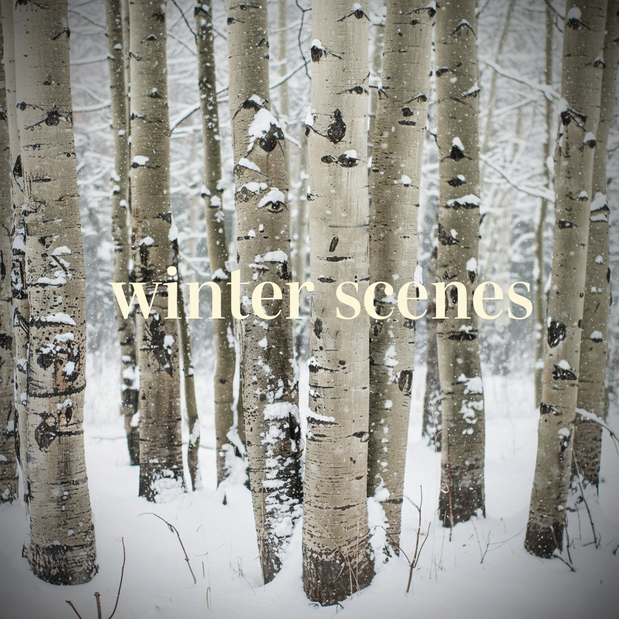 Winter Scenes Collection Thumbnail