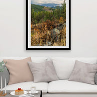 Colville National Forest Photography Print, Autumn Wilderness View