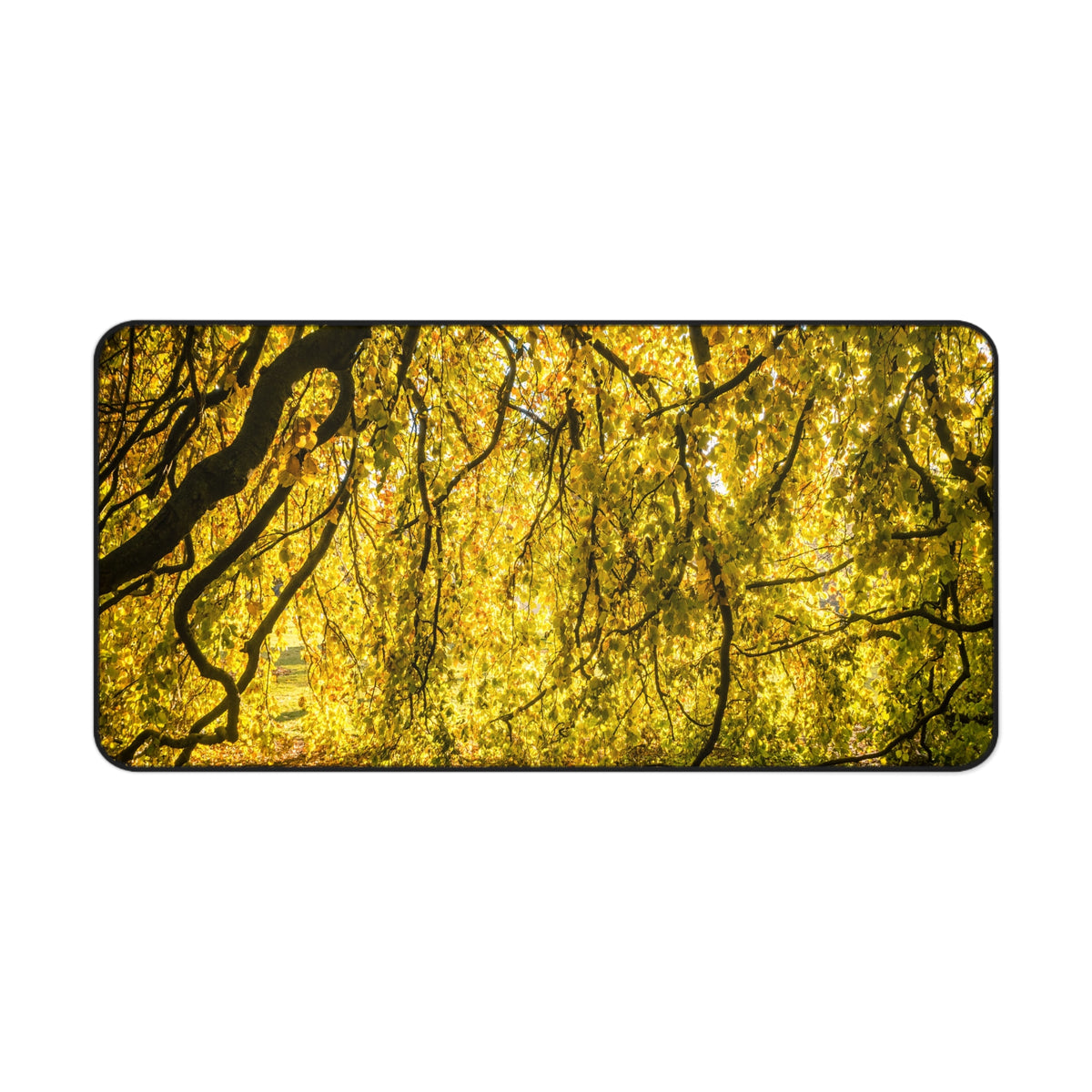 Golden Autumn Forest Desk Mat, Sunlit Tree Canopy Gaming Mouse Pad, Extended Nature Keyboard Pad Scenic Workspace Decor