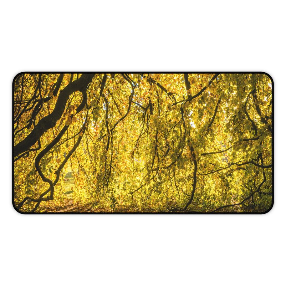 Golden Autumn Forest Desk Mat, Sunlit Tree Canopy Gaming Mouse Pad, Extended Nature Keyboard Pad Scenic Workspace Decor
