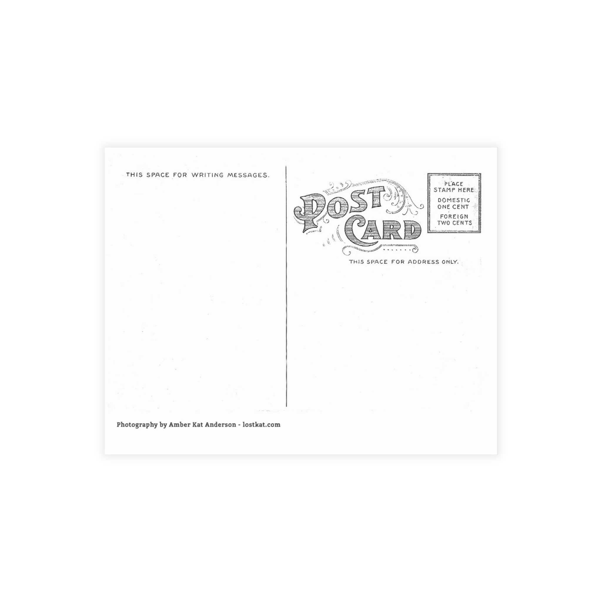 Olympic National Park Cedar Forest Postcard Bundle - Postcrossing Deal